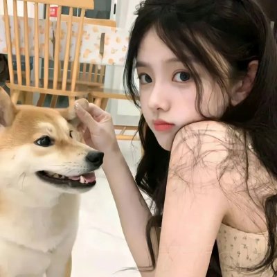 猪与珠